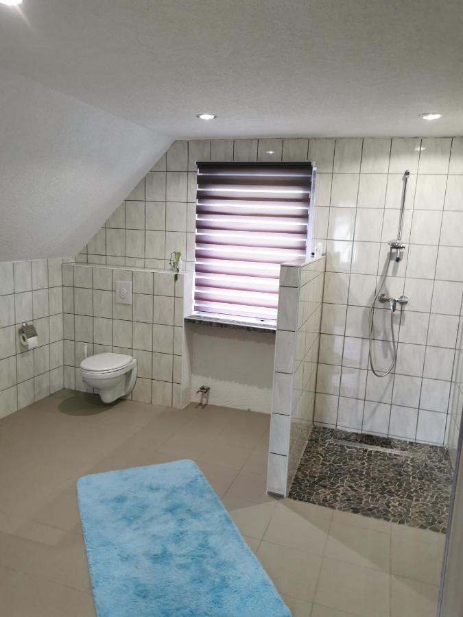 Apartamento Am Belz Lebach Exterior foto